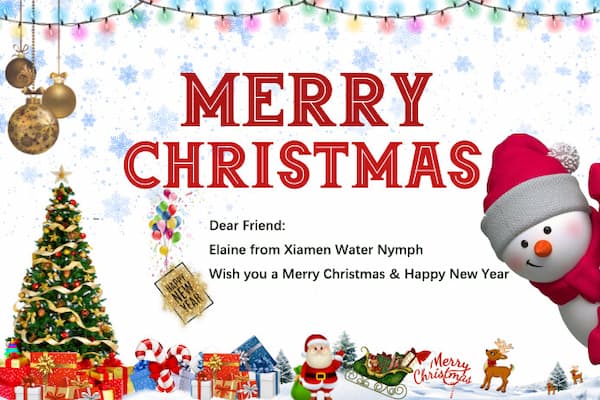 Water Nymph wünscht Ihnen frohe Weihnachten und ein glückliches neues Jahr
    